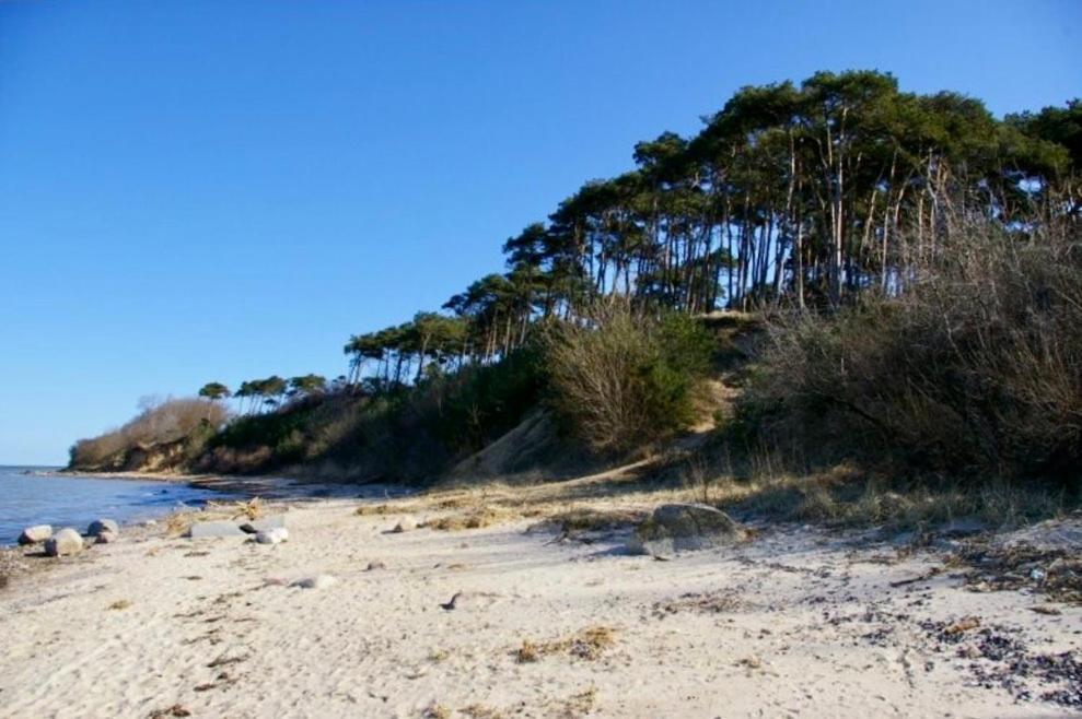 Hohenkirchen  Tallskog - Dein Apartment Am Naturstrand Hohen Wieschendorf מראה חיצוני תמונה