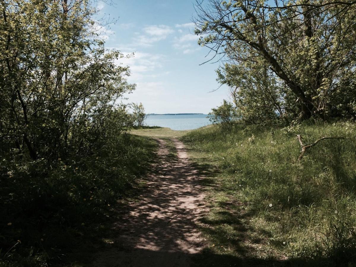 Hohenkirchen  Tallskog - Dein Apartment Am Naturstrand Hohen Wieschendorf מראה חיצוני תמונה